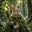 Rabbit Of Trees (née Death)'s avatar