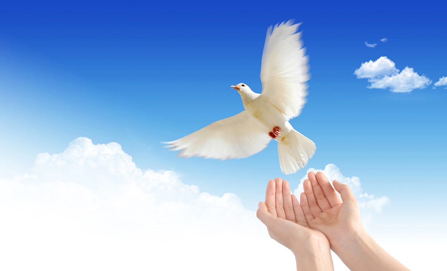 Hands with a dove of peace and a blue sky and clouds