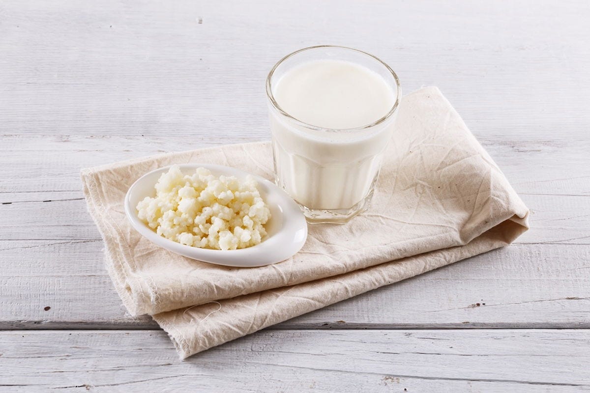 Kéfir: qué es, para qué sirve y cómo hacerlo (yogur y de agua) - Tua Saúde