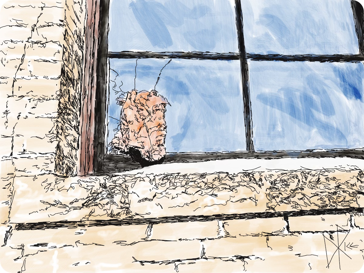 A wee bit of snow builds up by a broken window with pink insulation stuffed into the broken pane. Sketch art by Don Rice. A wee bit of snow builds up by a broken window with pink insulation stuffed into the broken pane. Sketch art by Don Rice.