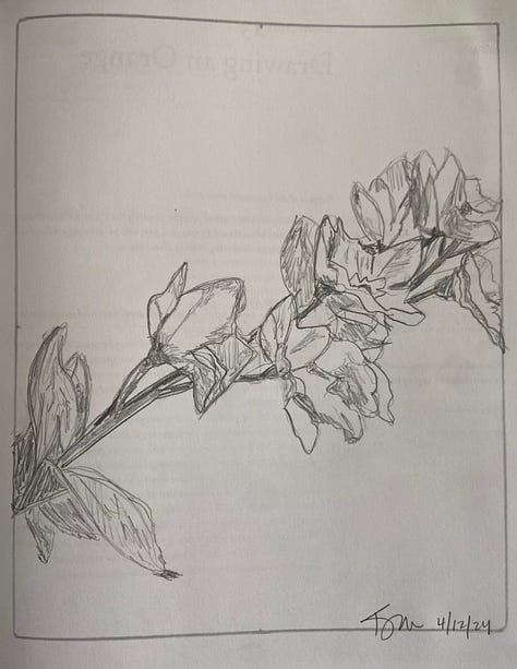 pencil drawings from exercises in Drawing on the Right Side of the Brain