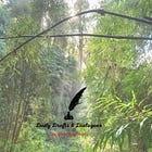 The Fall of Ape Authoritarianism