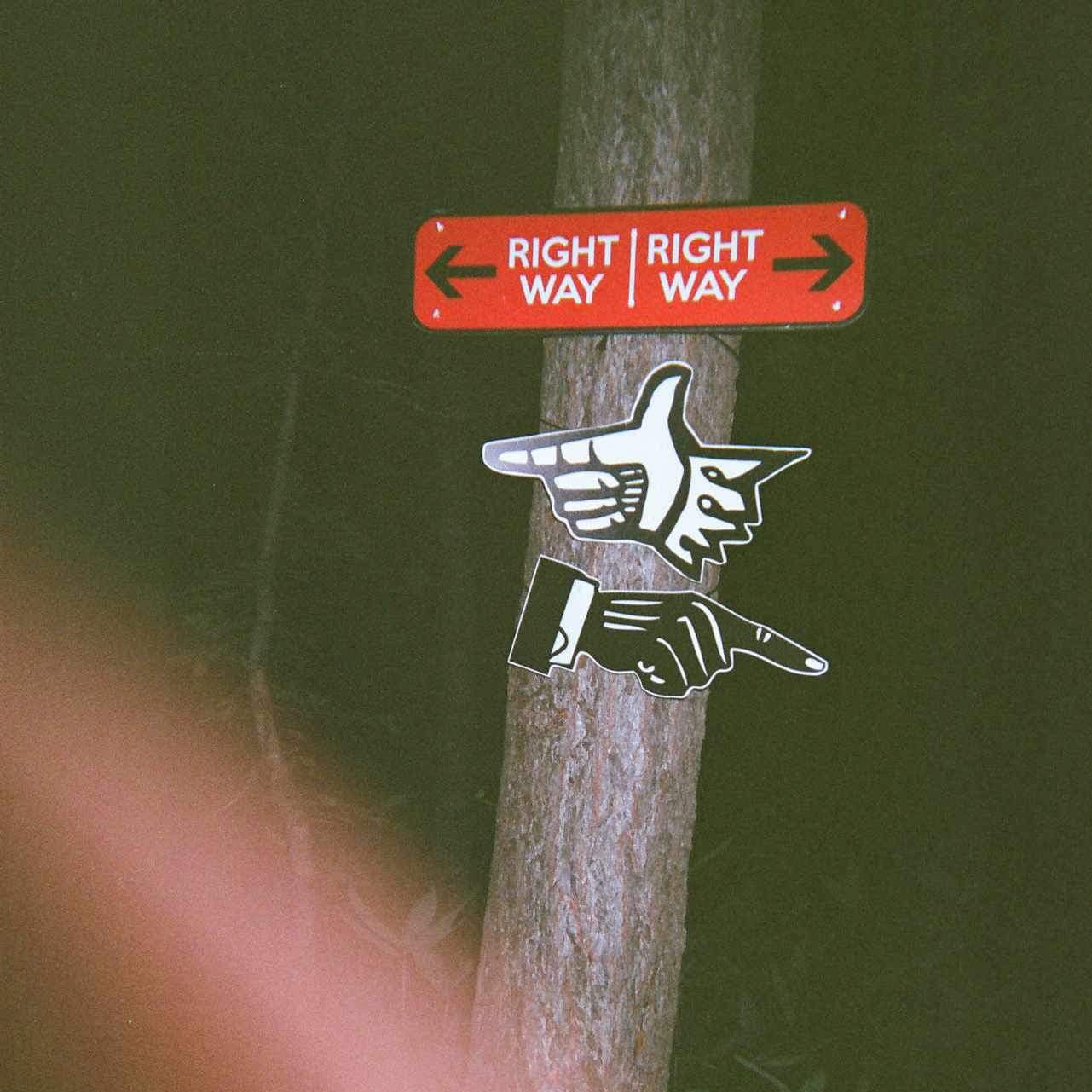 去年在 Fuji Rock 看到的指標