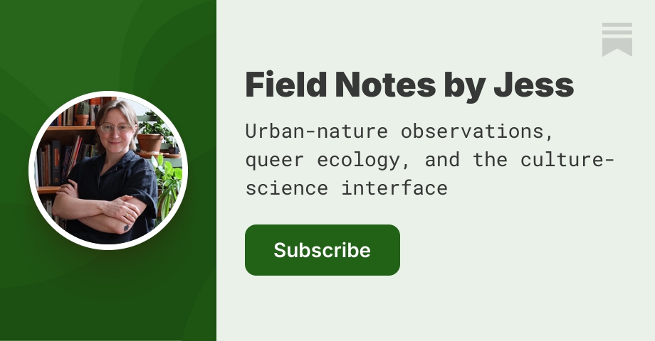 Field Notes by Jess | Substack