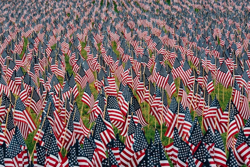 A field full of tiny American flags as far as the eye can see.