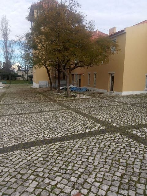 bibliotecas2.jpg