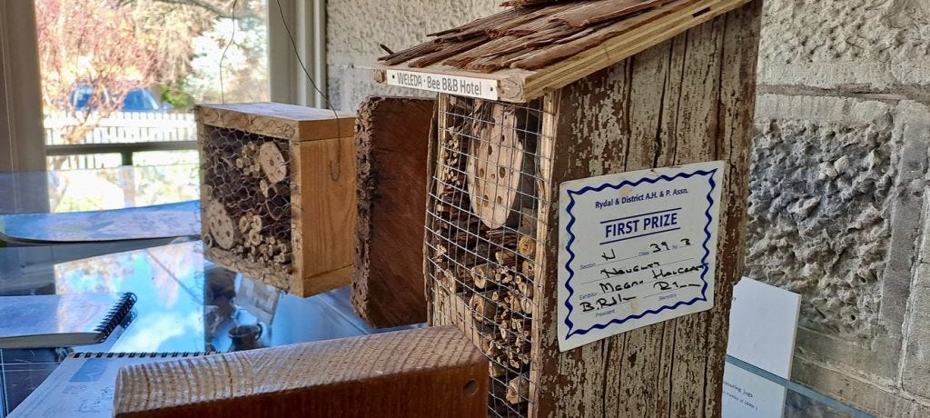  ‘bee hotels’ for australian pollinator week