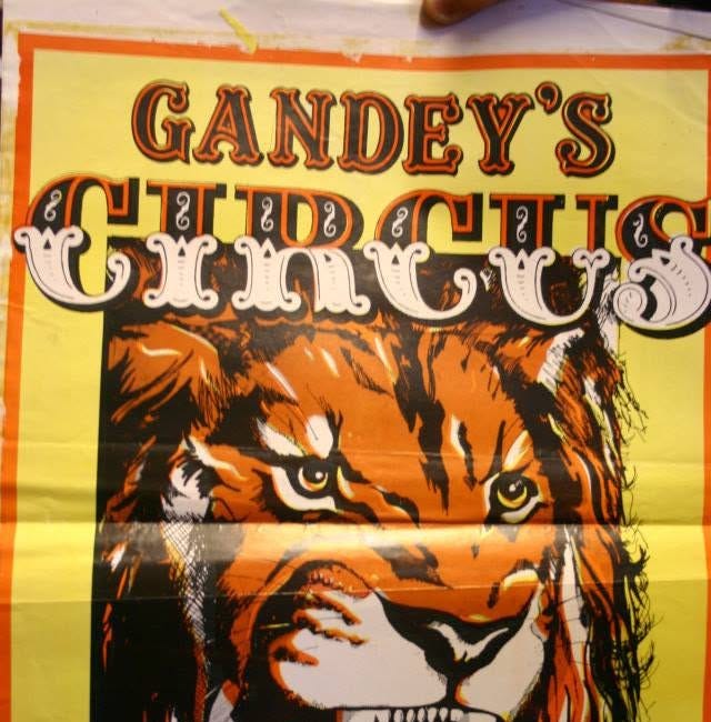 Britain's Youngest Circus Clown's Debut in Late 1978 & his "Stranger Than Fiction" experiences with the PG Tea Advert Chimpanzee's, a hungry & shocked Puma and The Circus Elephant's Parade