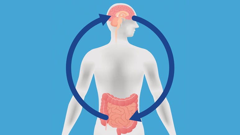 alzheimers and gut