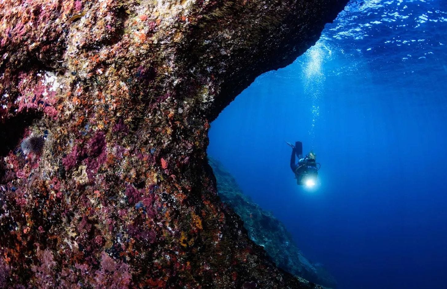 Scuba divers exploring the waters of Castle Rock in Komodo National Park, Indonesia. Scuba divers exploring the waters of Castle Rock in Komodo National Park, Indonesia.