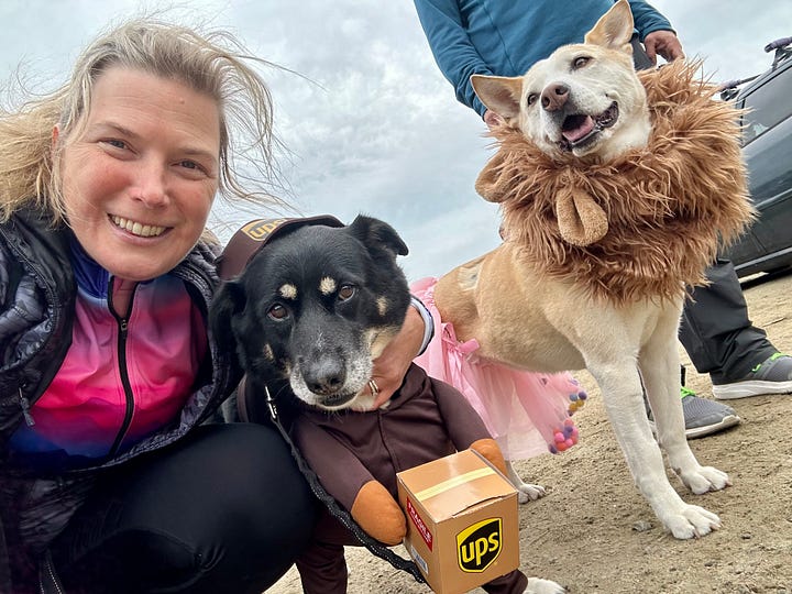 Dog Parade poster; Baxter in UPS costume and Laney in lion costume