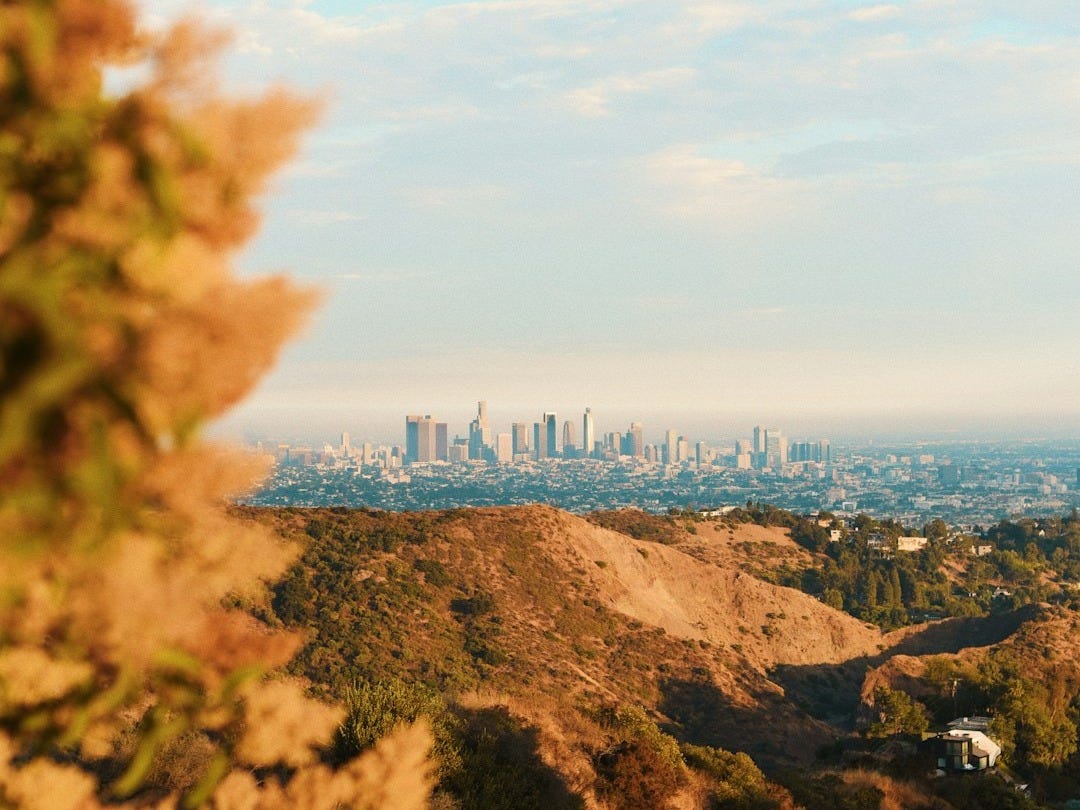 City skyline viewed from a hill with trees