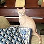 Ann McReynolds's avatar