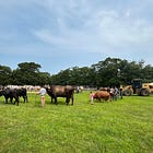 🎪 MVacay’s Ag Fair Pocket Guide (2025)