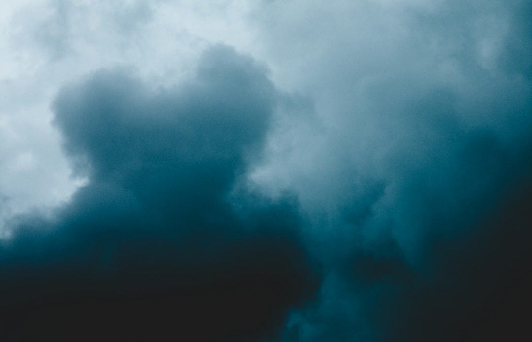 silhouette of bird under gray skies