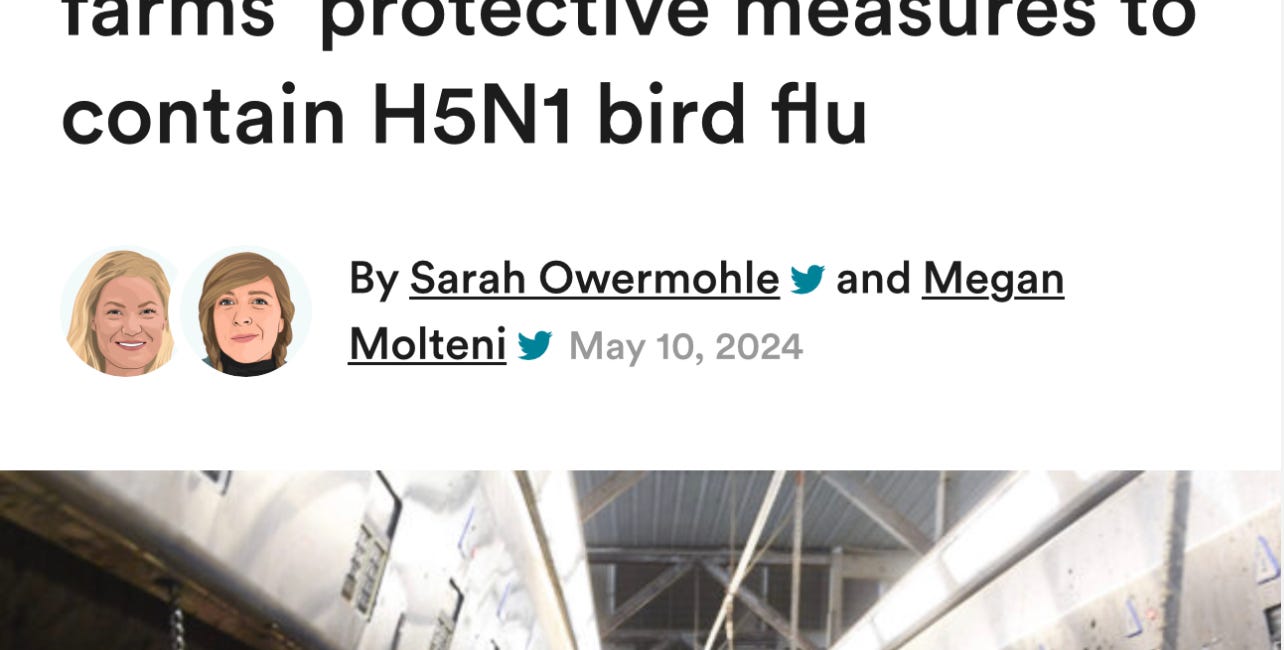 Cattle Lockdowns? You won’t know whether to laugh or cry when you read this STAT News article. 