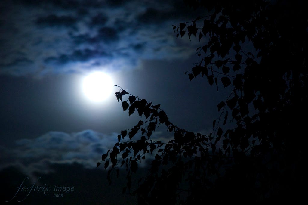 The Dark Night of the Soul | Oh night thou was my guide of n… | Flickr