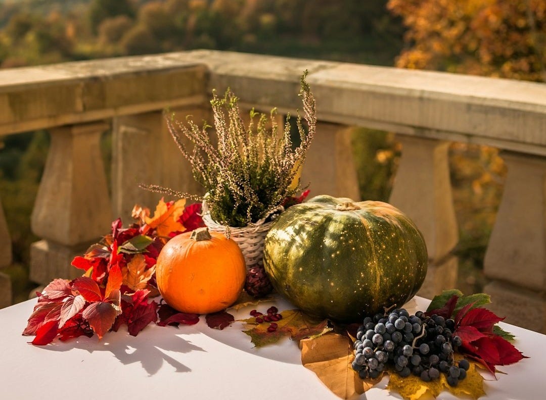 green and red flowers on gray concrete fence