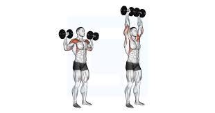 Dumbbell Standing Overhead Press ...