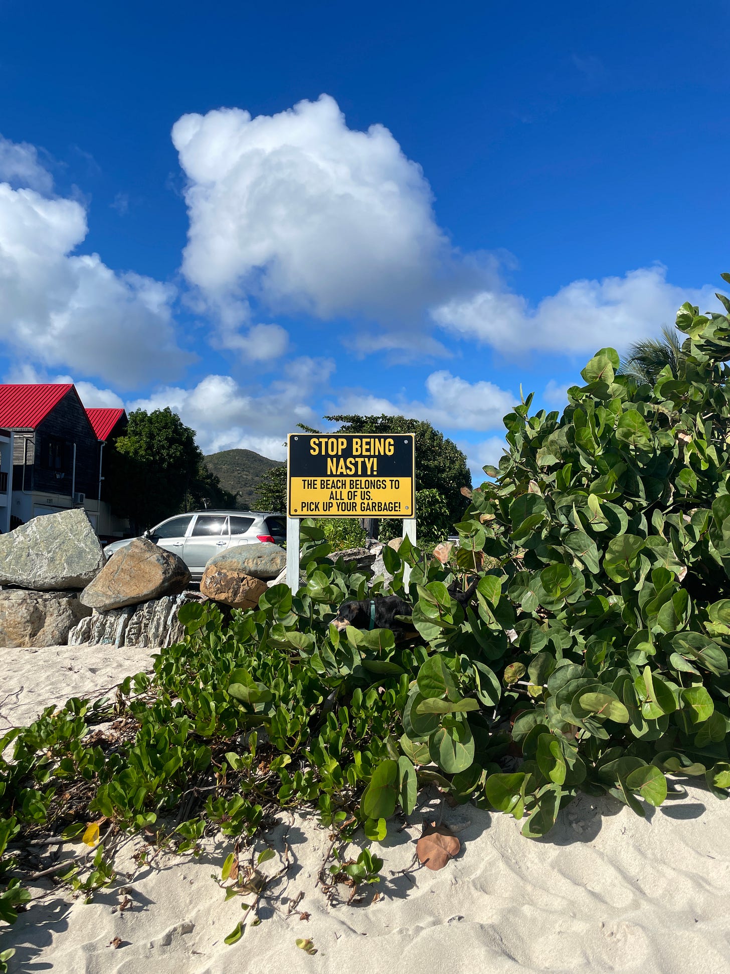 A large, yellow sign on the beach on Sint Maarten that reads STOP BEING NASTY, the beach belongs to all of us, pick up your garbage.