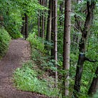 Lent's invitation to live and move and have our (enfleshed) being 