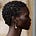 Musings of an Aesthete By T.A.'s avatar