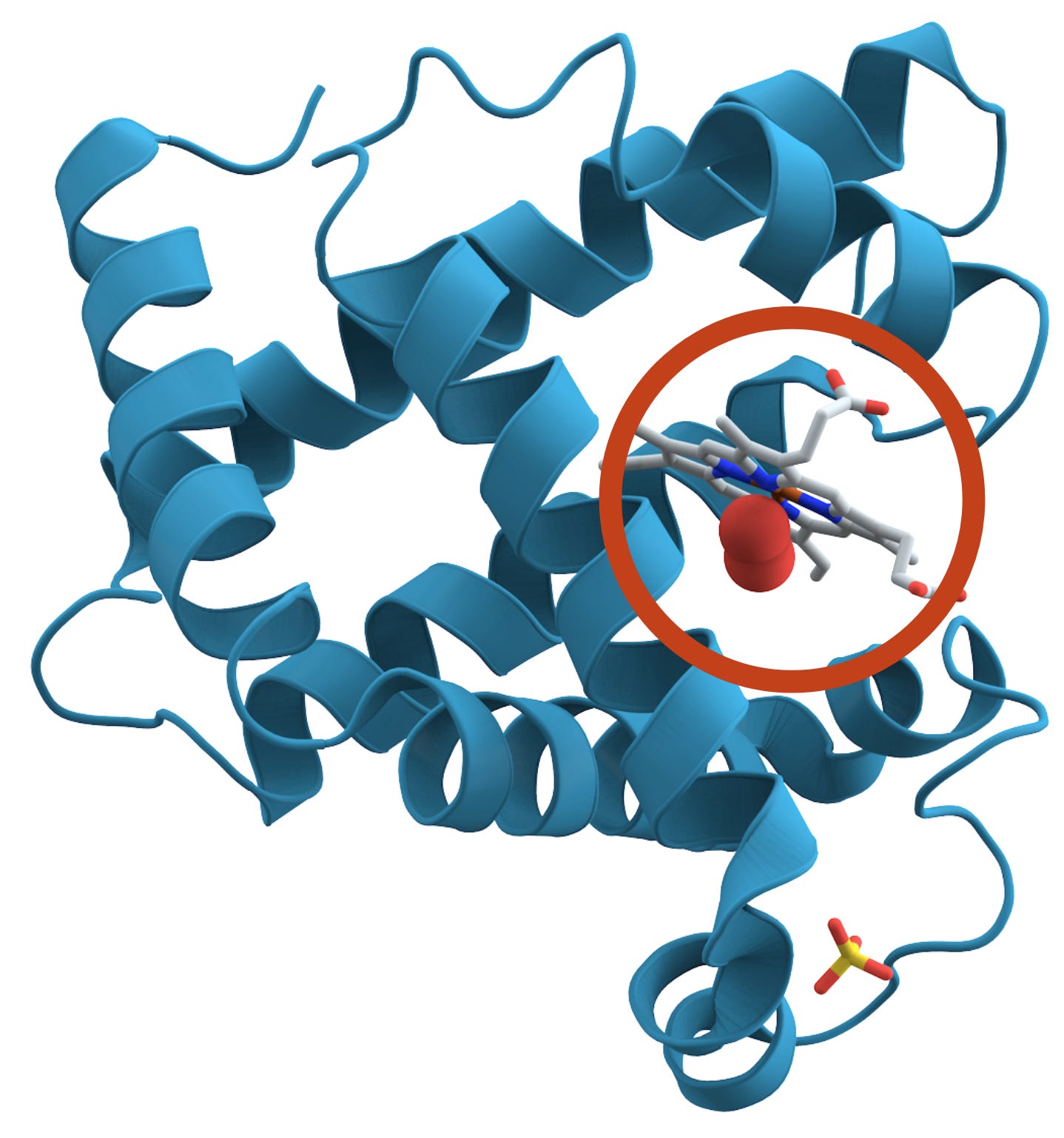 understandingai.org - Kai Williams - An unlikely ally for open-source protein-folding models: Big Pharma