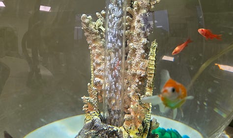 The Willows specialist school for autism in Lincoln