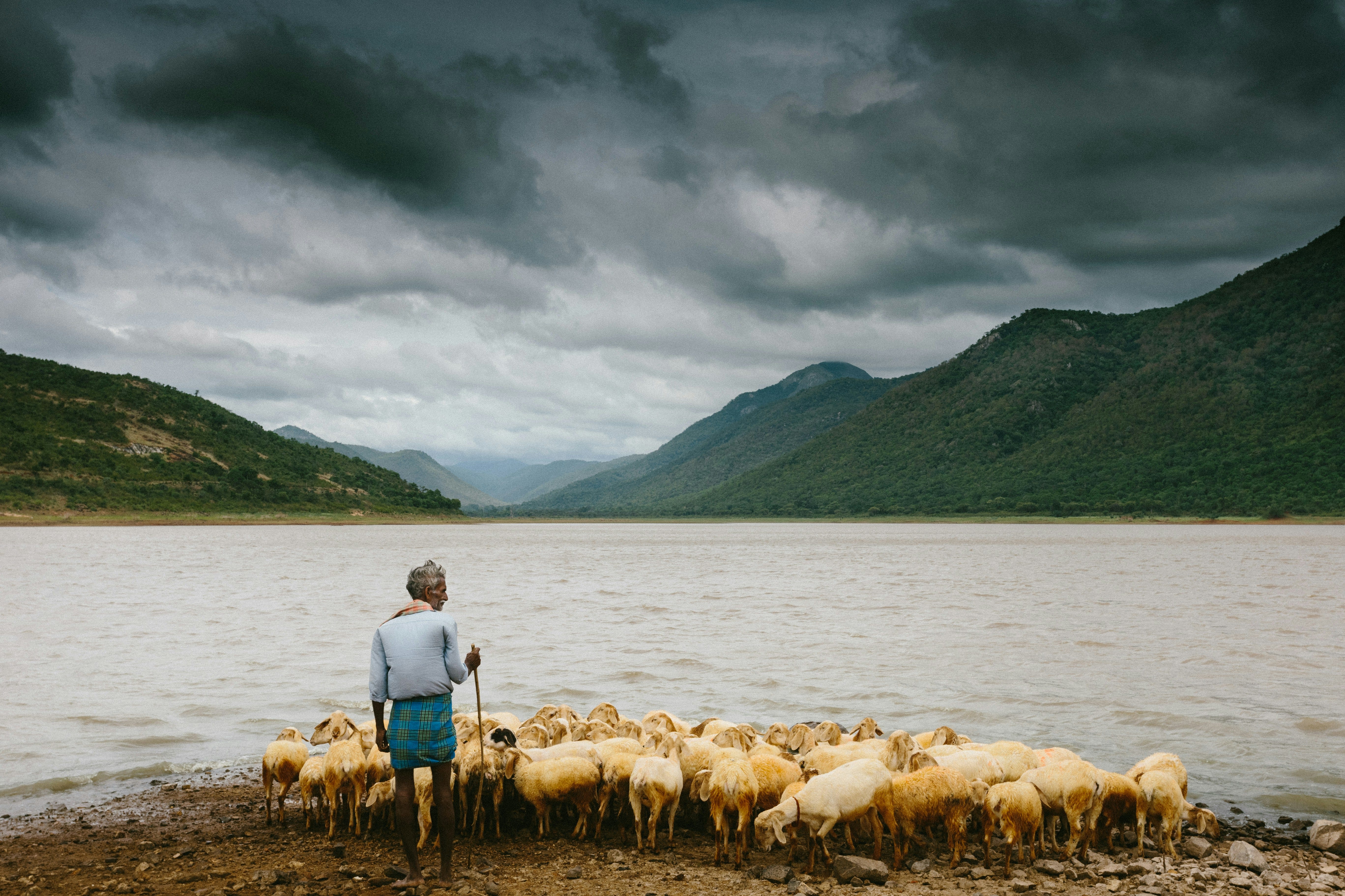 Two Kinds of Shepherds: Those Who Drive You From the Well, and the Shepherd Who Defends and Waters.