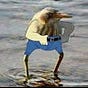 Mostafa G's avatar