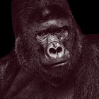 Aggressive Apes