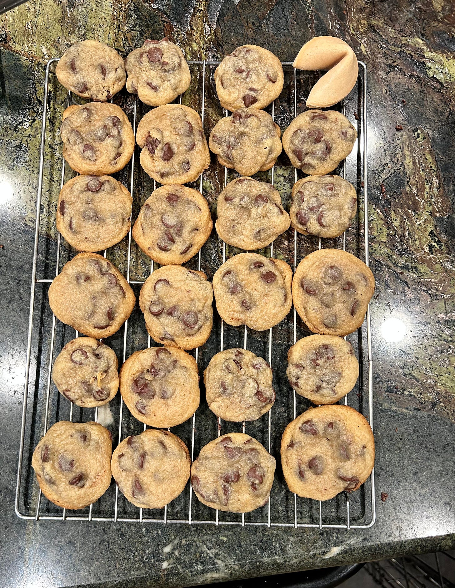A tray of chocolate chip cookies on a cooling rack, except for one fortune cookie in the top right corner.