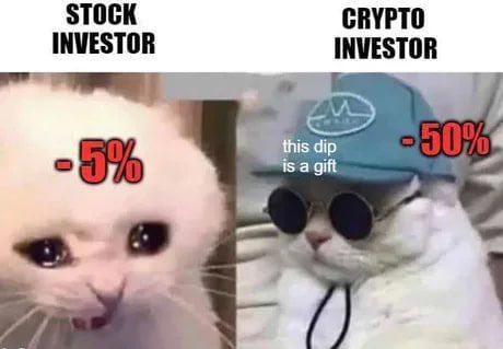 r/cryptocurrencymemes - New world order!.
