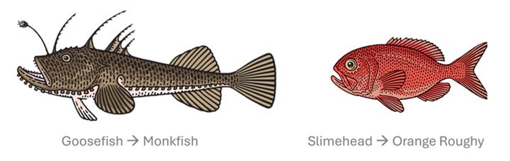 AI Fishy Branding 02