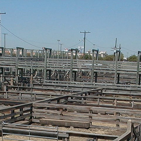 Reflections From The Fence, Genealogy 