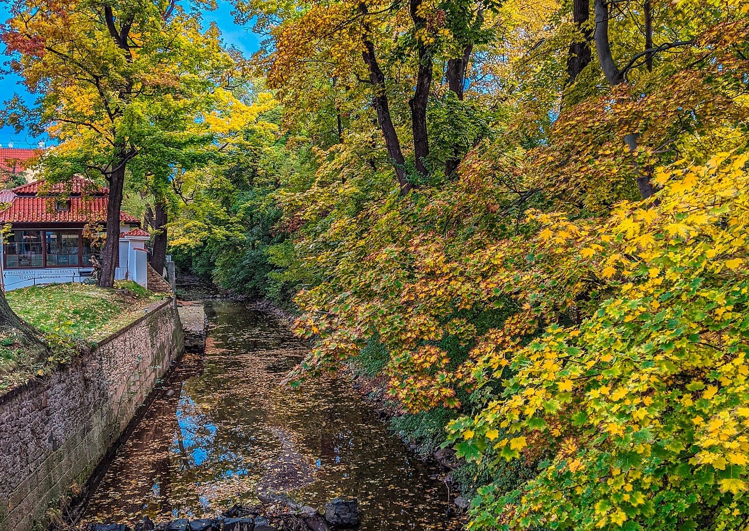 A small canal is lined by trees with yellow, russet, and red leaves. 