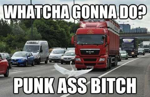 No photo description available.