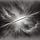 40 Reflections for Lent 2025—My Titanium Thread
