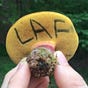 Life Art Fungi's avatar