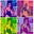 Anagha Shastry's avatar