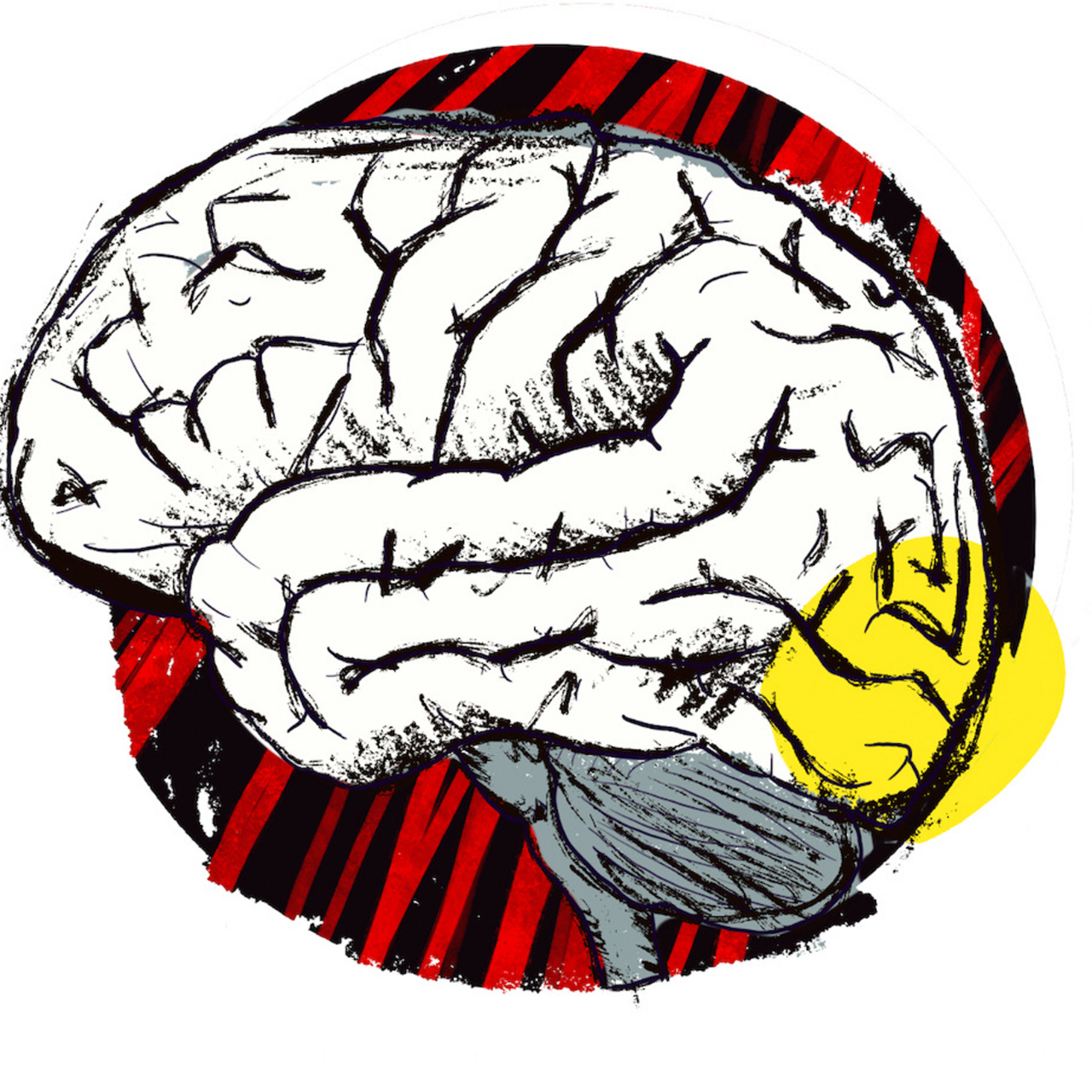 Neuroscience Unwrapped