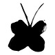 O voo da borboleta 