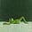 Eric Wallach's avatar