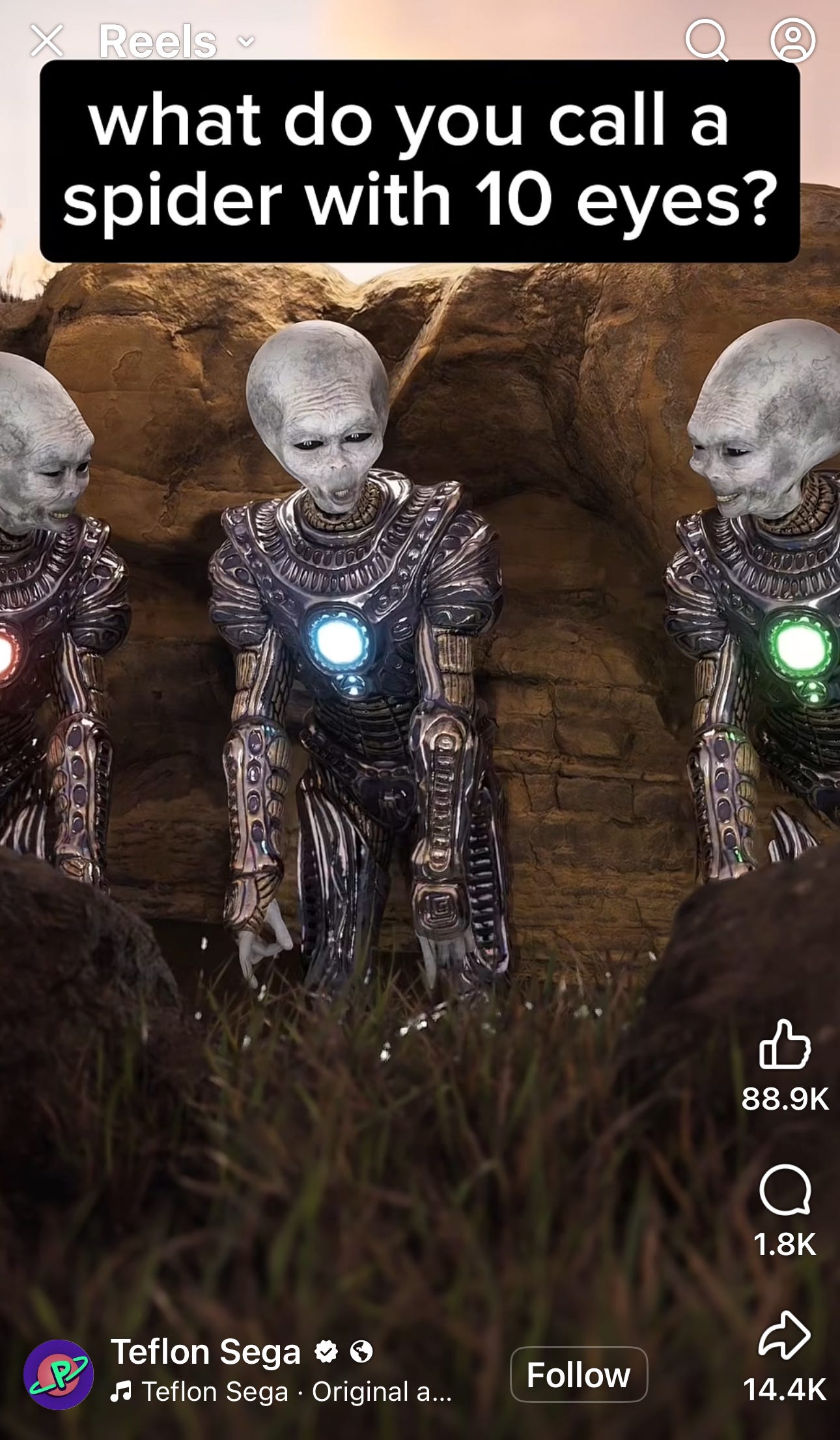 IMG_6458.jpeg IMG_6458.jpeg