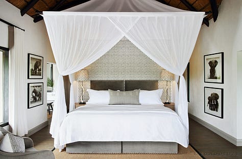 Elsa Young photography — Londolozi Private Granite Suites interior, South Africa. Natural materials and considered space in an identity-led hospitality environment.