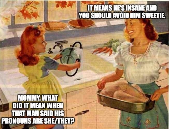 May be an image of 2 people and text that says 'IT MEANS HE'S INSANE AND YOU SHOULD AVOID HIM SWEETIE. MOMMY, WHAT DID IT MEAN WHEN THAT MAN SAID HIS PRONOUNS ARE SHE/THEY?'