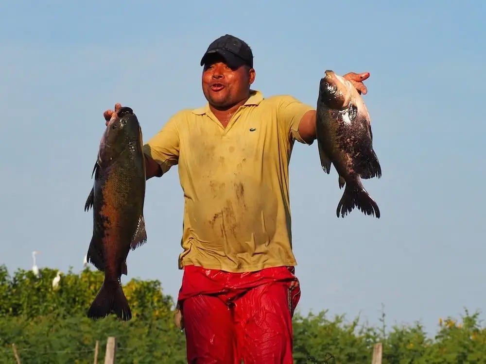 A fisherman shows of his catch of two fish A fisherman shows of his catch of two fish