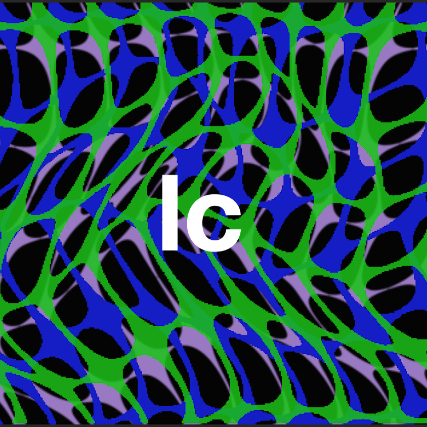 Substack profile picture for @jack