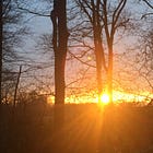 tree time chi kung - SUNDAY WORKSHOP