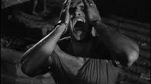 Streetcar Named Desire, A (1952) -- (Movie Clip) Stella! - Turner Classic  Movies